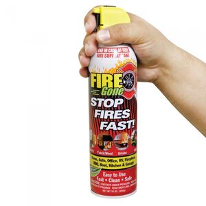 Fire Gone Extinguisher 16oz Can