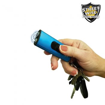 Streetwise USB Secure 22 Million Volt Keychain Stun Gun