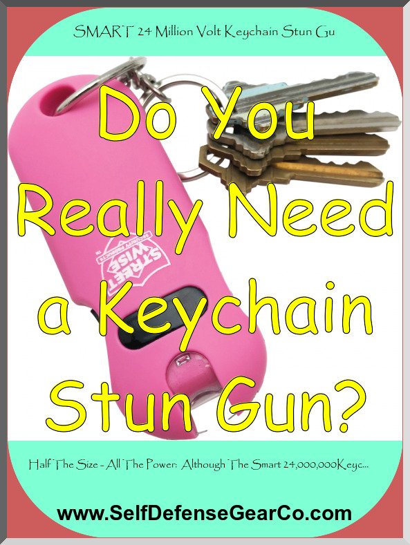 SMART 24 Million Volt Keychain Stun Gun