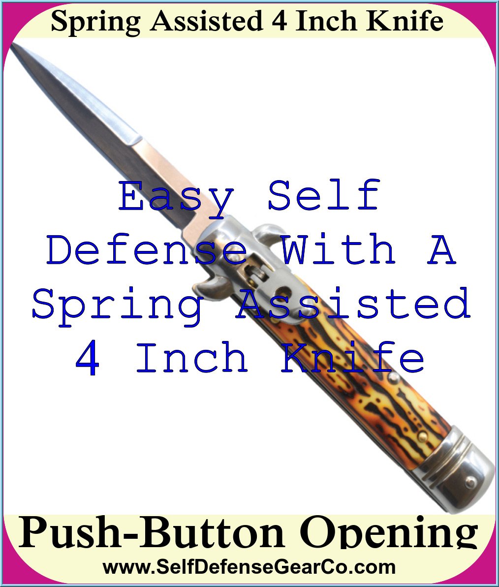 Spring Assisted 4 Inch Knife