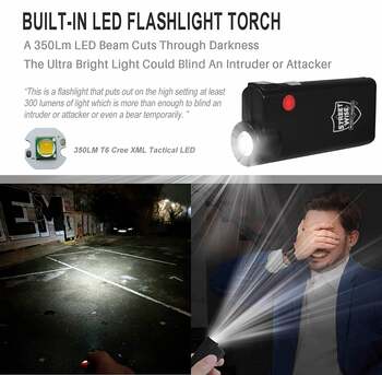 Streetwise Security Knight Light Alarm & Flashlight