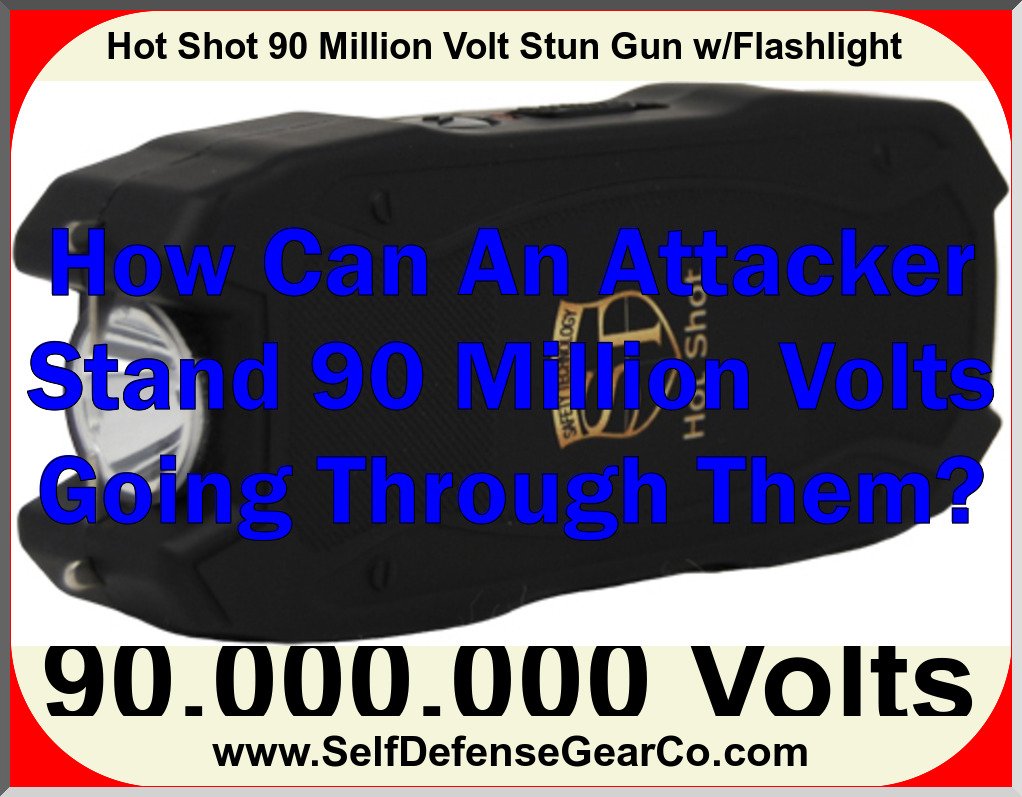 Hot Shot 90 Million Volt Stun Gun w/Flashlight