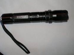 Rechargeable 160 Lumen Flashlight/Stun Gun